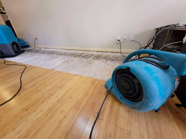 Professional Ceiling Water Damage Repair technician working in Jasper, MN